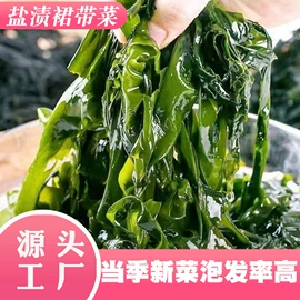海带;海藻类
