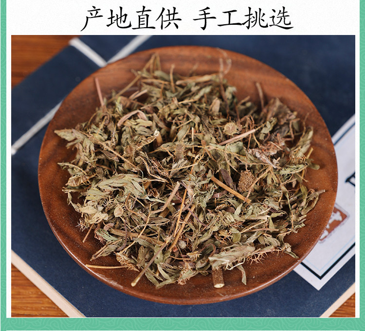 Wild Mimosa Herb Han Xiu Cao 500g Dried Sensitive Plant Whole Herb Traditional TCM Botanical in use