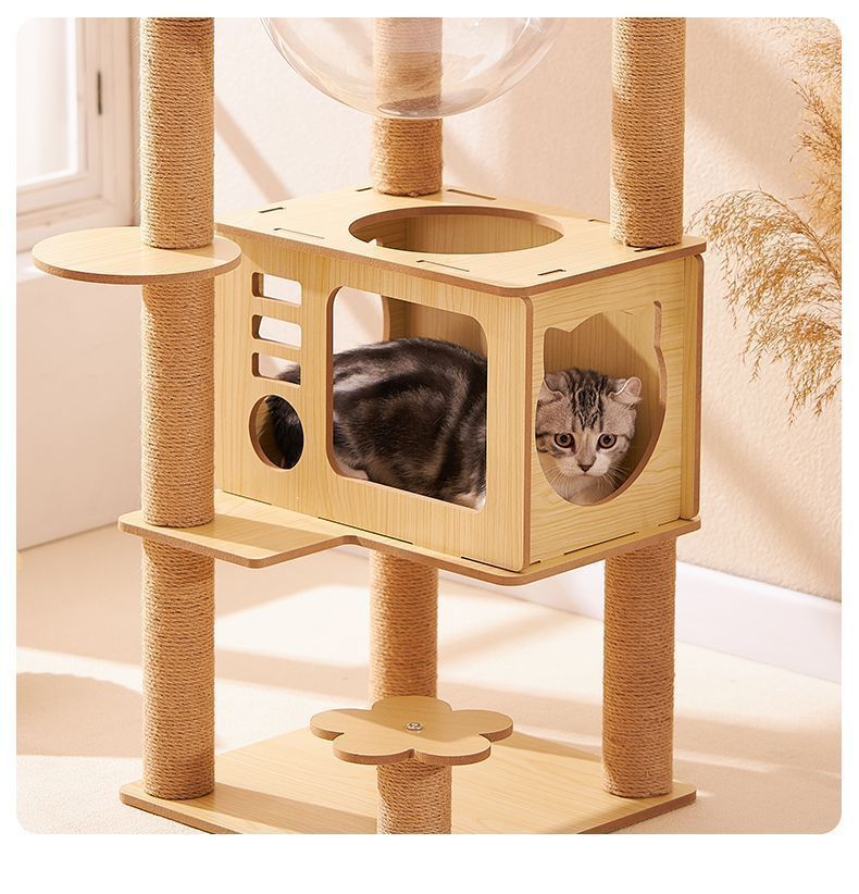 5bd44a2e-d23e-44a9-a95d-d70db4526778.jpe