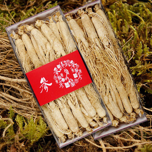 �L��ɽ5���˅��������l�|���خa��ș������һ�����lԭƤ�˅�