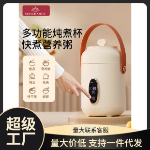 Portable Health-Preserving Electric Stew Pot, Electric Stew Cup, Small Office Mini Porridge Cooker, Fully Automatic Porridge Cup