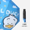 Little Blue Duck