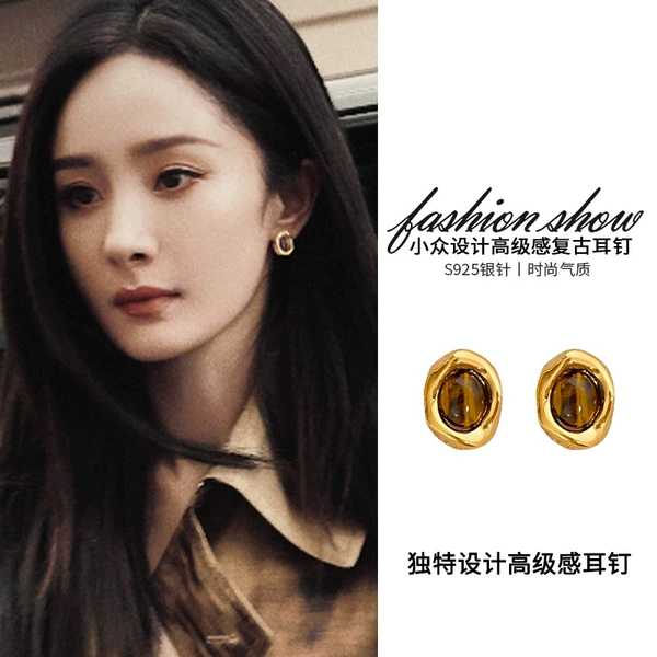 Water drop tiger eye stone earrings