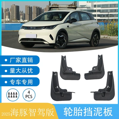Suitable for 2025 Byd Mudguard