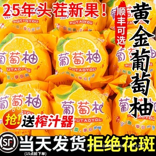 ���ڱ�֭���Ӹ����S�����������rˮ�������S�����������������䵩