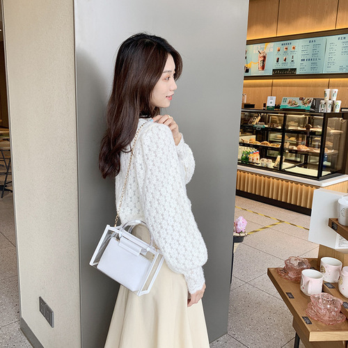 包包批发跨境子母包外贸二件套手拎单肩斜挎包百搭透明链条包