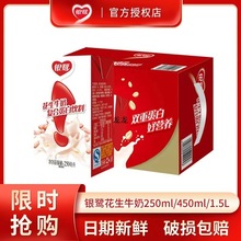 25L饮品批发银鹭瓶装50m124l盒双蛋白450整箱花生牛奶酸性乳饮料