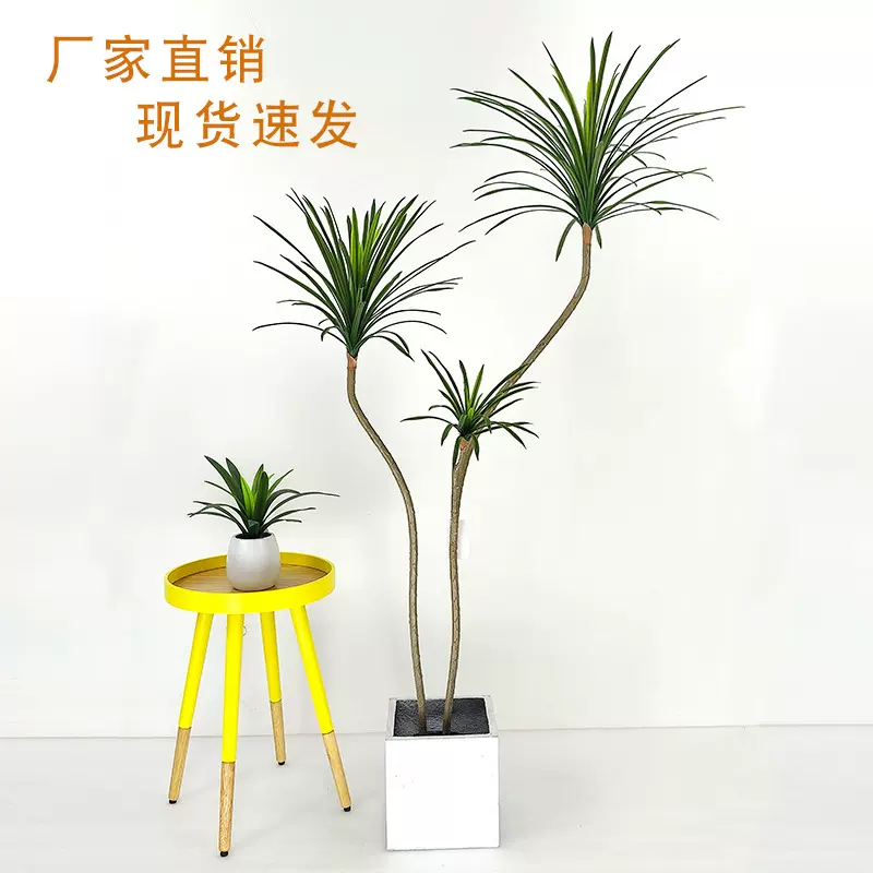 仿真植物龙舌兰千年木盆栽室内装饰仿真把束龙血树客厅绿植造景观