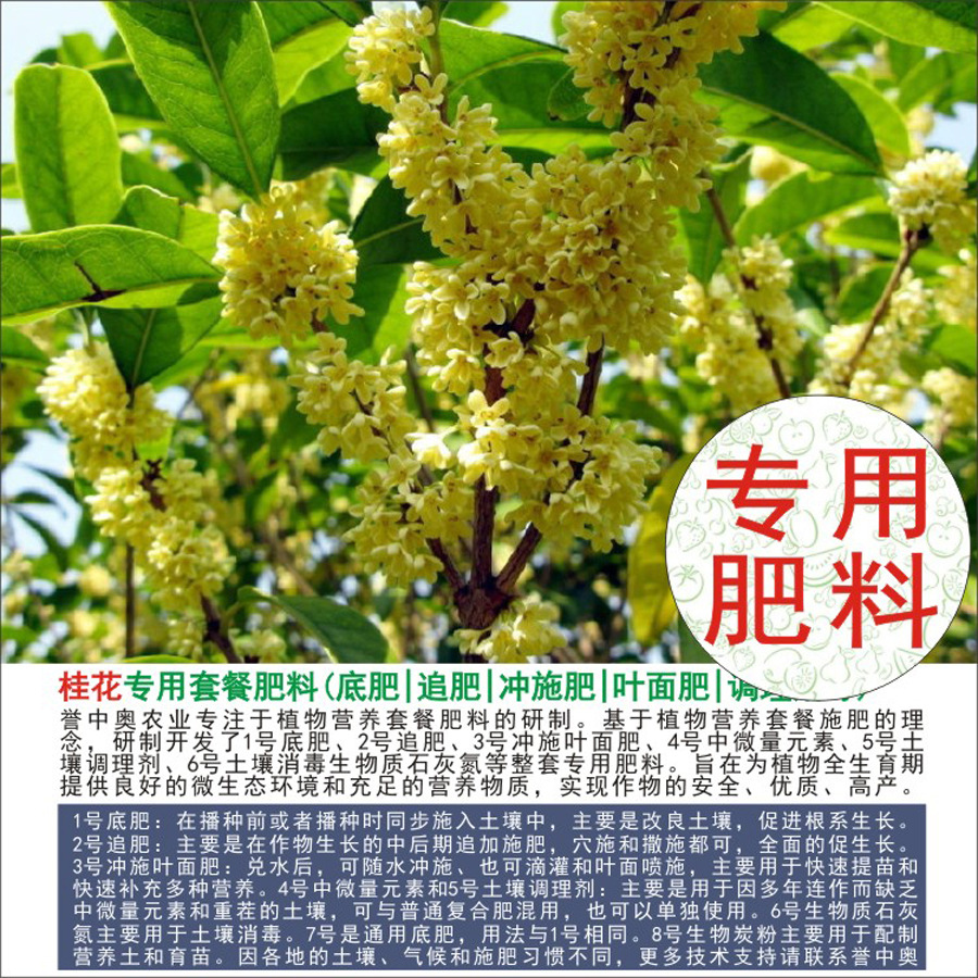 50�����а¹�ר���л��ʸ��Ϸʵ׷�׷��Ҷ��ʳ�ʩ��ˮ�ܷ�