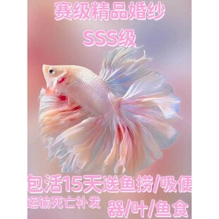 ̩�����~�鼆β�^�p�~���w��ˮ�~�Ꭷ�~����С������B�ͻ��