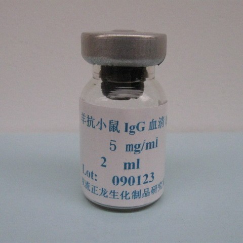 绵羊抗小鼠IgG血清