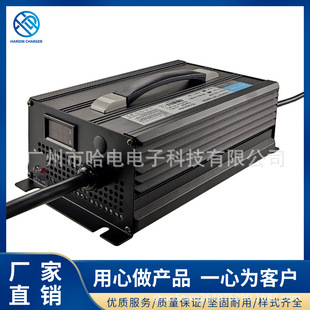 48V20A Lead-Acid Battery for Forklifts with Voltage and Current Display Charger High Power