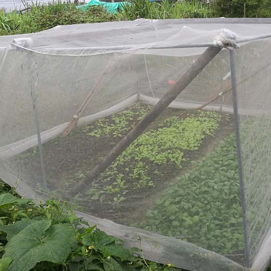 水产养殖网 农用网 蔬菜防虫网，塑料养殖网，农用防鸟网尼龙网