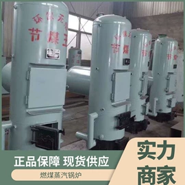 蒸汽发生器;燃煤锅炉;燃气锅炉