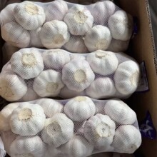 ɽ�|�������l4.5-6.cm��Ƥ���^������ȥƤ���|���x�GɫʳƷ���