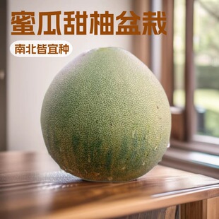 ���Ә����۹����ּ޽Ӽt�����������Ϸ������Nֲ���Ә��箔��Y��