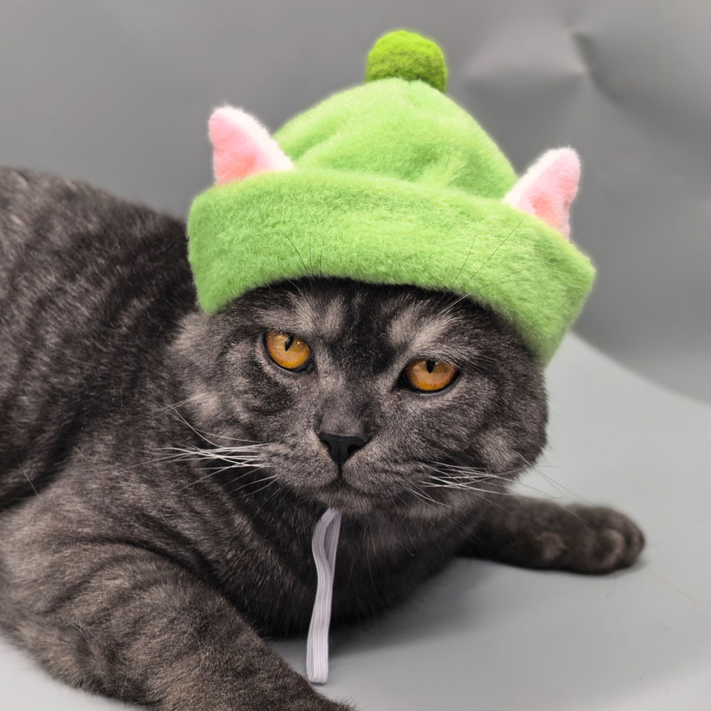 Gorro de pelagem sintética de coelho para gatos e cães_voghion.com