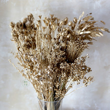 �yɫ��ɫʮ�ֹ��_�Ĺ��ȼ�������˼���ɹ��}�Q��DIY���h�b���