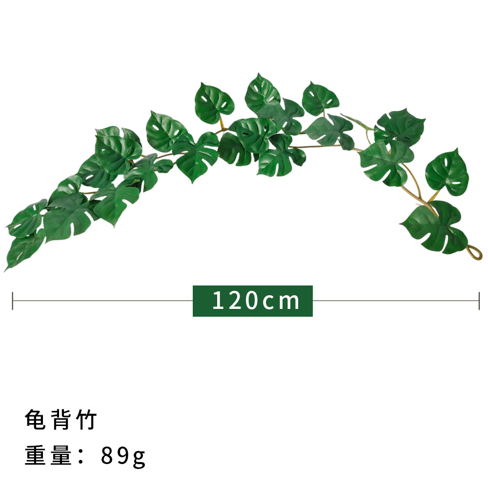 120 cm de bambú de tortuga