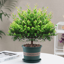 С�~����Ϙ��辰����ֲ���ļ������մ����҃Ⱥ��B�͏d�k��������