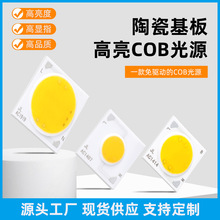 商业照明射灯光源  15W免驱动COB光源 高压LED 陶瓷COB光源  直销