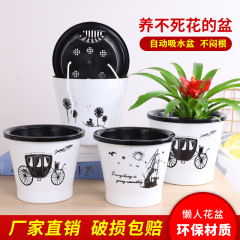 Automatic Water-absorbing Pattern Lazy Pot Simple and Fashionable Imitating Porcelain Pothos Hydroponic Desktop Plastic Resin Planter Wholesale