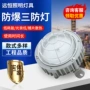 定制应急消防照明三防灯