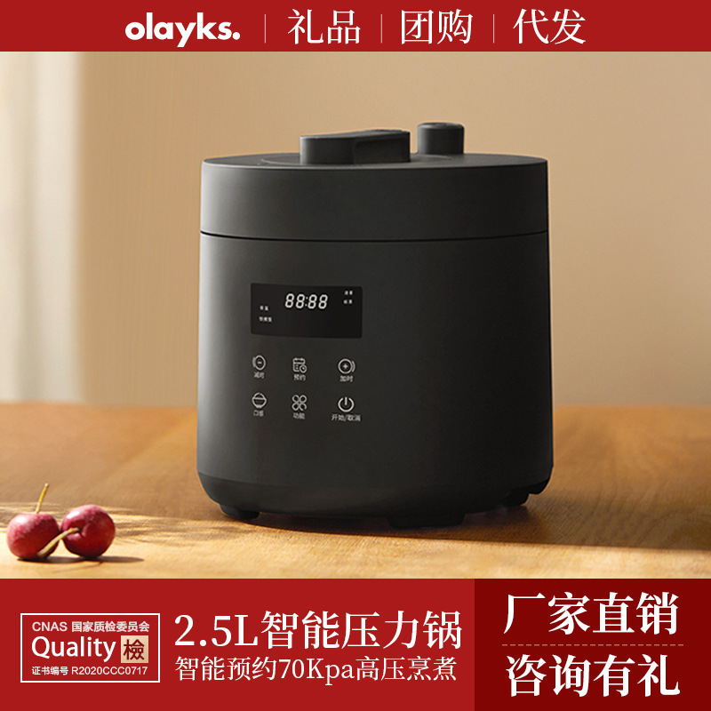 olayks export original electric pressure cooker household intelligent 2.5L small mini pressure cooker rice cooker 1-2-3 people 4