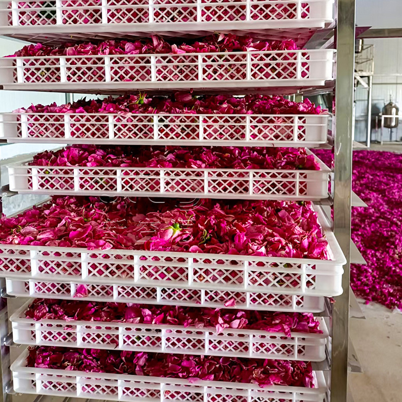 玫瑰花瓣烘干机 鲜花烘干房 空气能热泵花茶箱式干燥设备