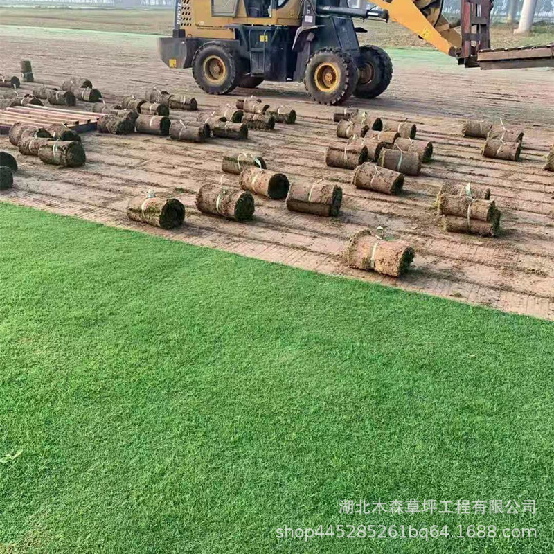 dde37dfaed025946ddcf4e07540bd9