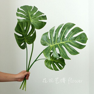 �羳�^�z�ָ������~�������z�~�ӼҾ��b����ϻ���ֲ�����Gֲ��