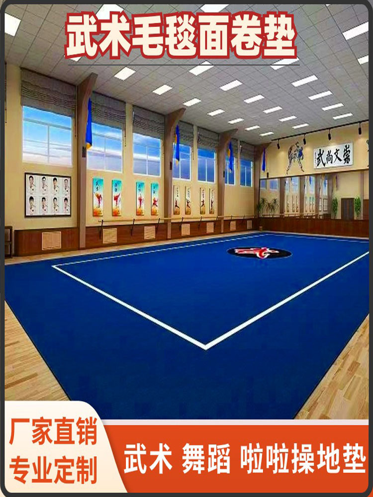 Martial Arts Floor Mat Martial Arts Training Mat Dance Cheerleading Sports Roll Mat Martial Arts Hall Floor Mat Martial Arts Training Carpet