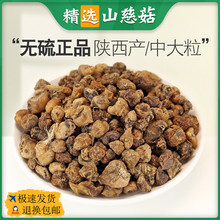 ɽ�ȹ���ș�ĸ�؛100g������ɽ�ȹ�éë�ȹ�ɽ�Ĺ����rĥ����Ʒ