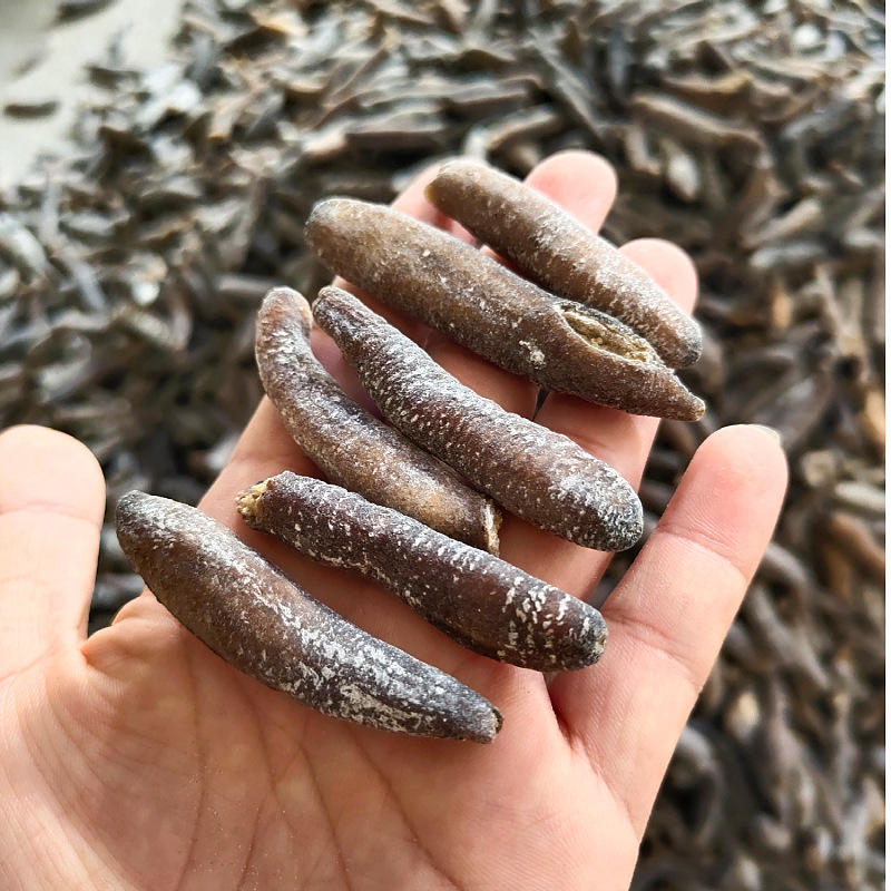 批发深海海参干货明秃参沙秃参淡干150头/斤水发量大好吃便宜干货|ms