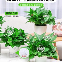 G}ֲ҃ﻨܾGֲˮLٴ~Gj·Ã՚