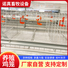 育雏鸡笼 四层立体式小鸡笼 高密度镀锌防锈防跑鸡 养殖 设备鸡舍