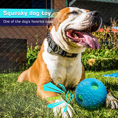Pet Supplies Pet Toys Dog Toys Ball Sound Ball Barking Ball Grinding TPR Material Factory Wholesale
