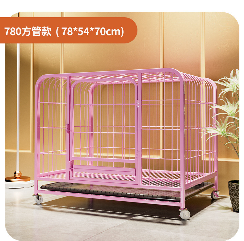狗2_20.jpg