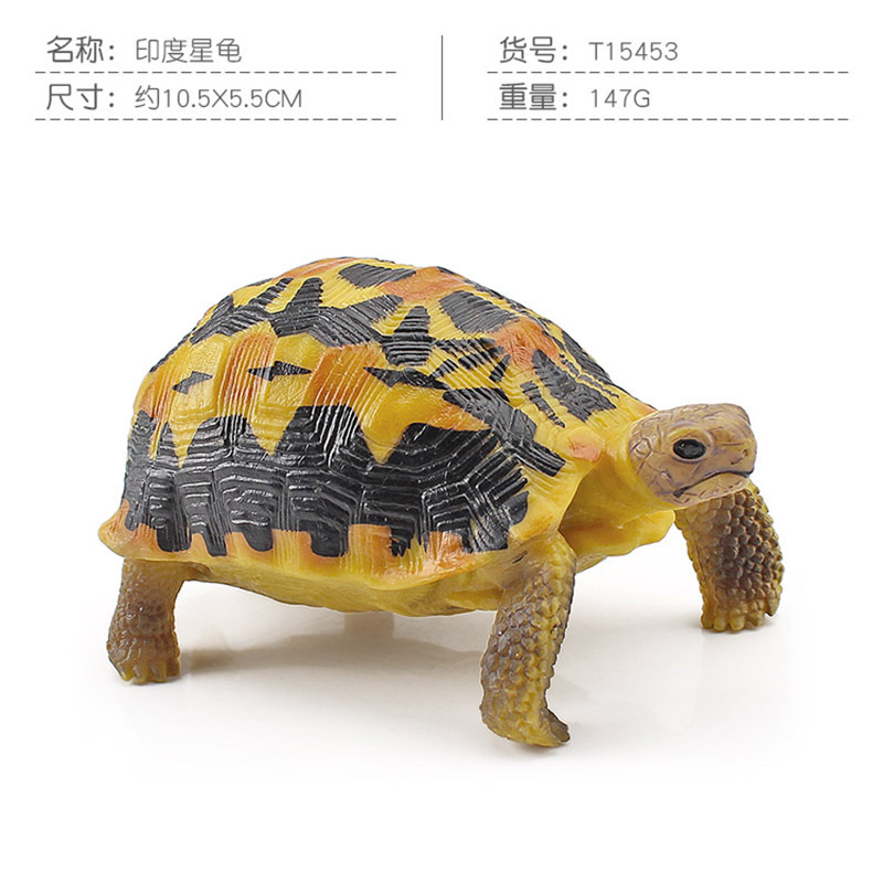 Transfronteriza Nueva simulación anfibio reptil modelo tierra tortuga elefante tortuga estrella tortuga estática decoración cognitiva decoración juguete