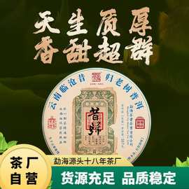 云南普洱茶生茶2023年四大名寨之昔归古树357克茶饼厂家直销