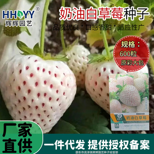 �F؛���Ͱײ�ݮ�N���ļ���ݮ�N���҃����̨�߲�ˮ�����Բ�ݮ�N��