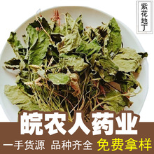 紫花地丁500克中药材紫花地丁苦地丁铧头草干货丁草箭头草犁头