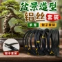 定制跨境组合装盆景铝线