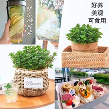 ˮౡ~rʳԵֲ҃ȾGֲܙʲ