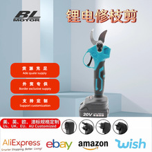 �oˢ����֦�����ʽ�@�ֹ������늄��޼��羳���u���P䓵��^