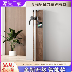 Smart Digital Small Flying Bird Gantry Fitness Equipment Rack Comprehensive Trainer Wall-Mounted Smart Small Flying Bird Home