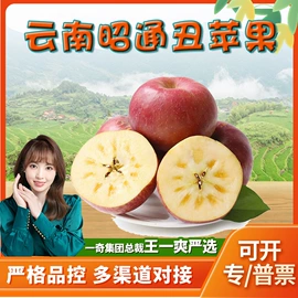 代用/养生茶;苹果;花果茶