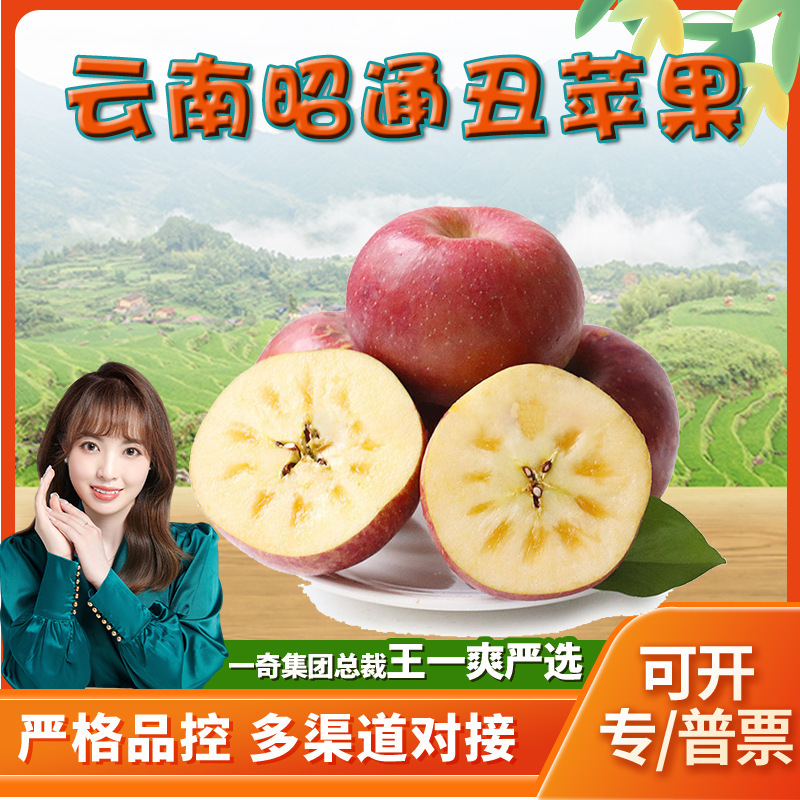 [Strictly Selected] Yunnan Zhaotong Rock Sugar Heart Ugly Apple 2.5kg Fresh Rock Sugar Heart Red Fuji Seasonal Fruit for Pregnant Women