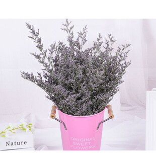 ���˲ݸɻ���@�Ҿ� diy���� �������ɻ����R�d�[���b�