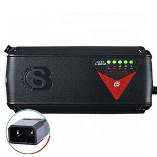Suitable for Luyuan 96V20Ah2T Two-Wheeled Tricycle Charger Automatic Shutdown Lead-Acid Graphite